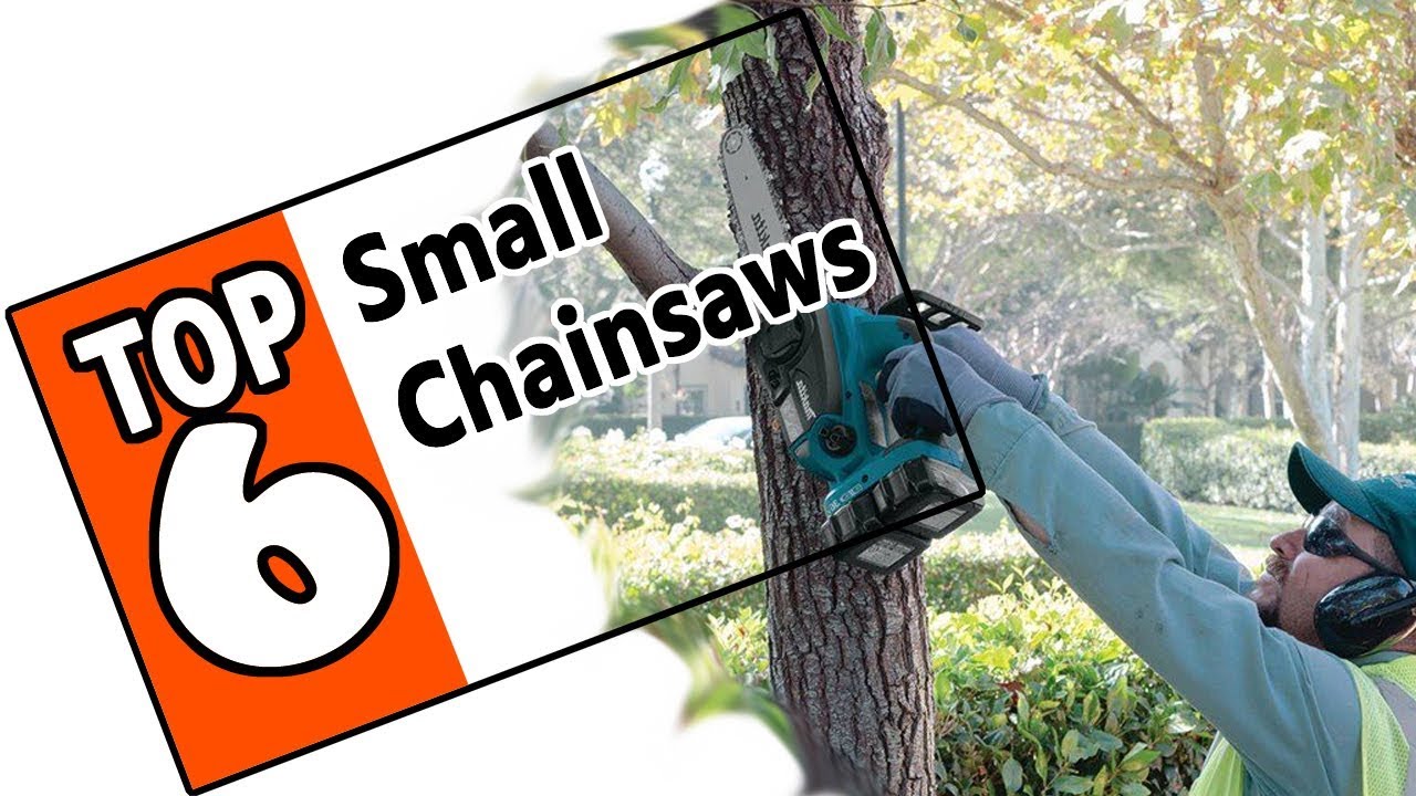 Top 6 Small Chainsaws Reviewed